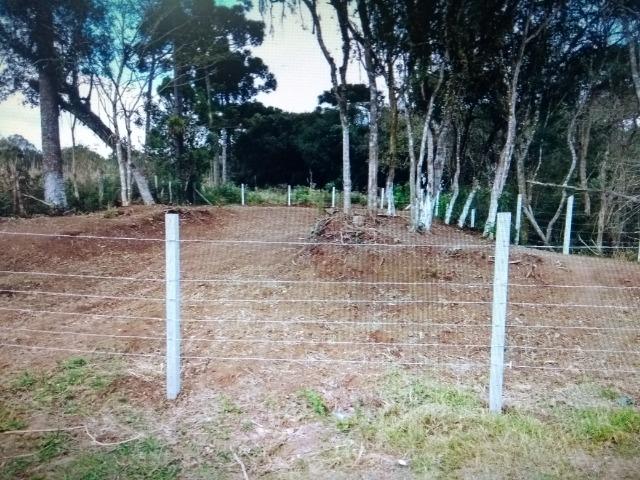 Terreno em S.J.Pinhais