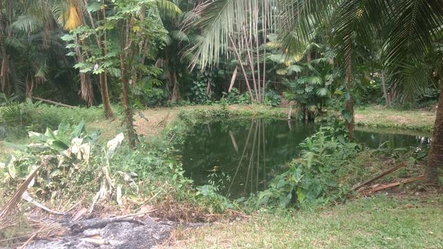 Vendo uma chácara, no antigo Vinhais - Foto 14