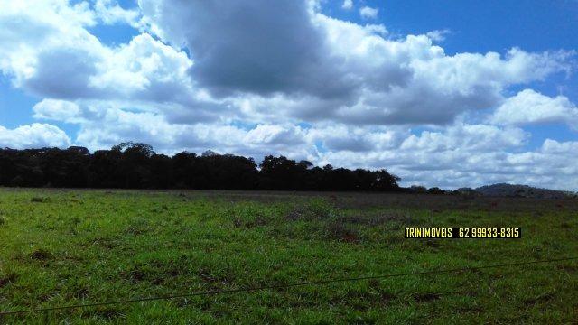 Fazenda de 13 alq. em Trindade - Foto 3