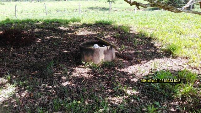 Fazenda de 13 alq. em Trindade - Foto 15