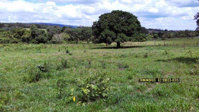 Fazenda de 13 alq. em Trindade - Foto 17