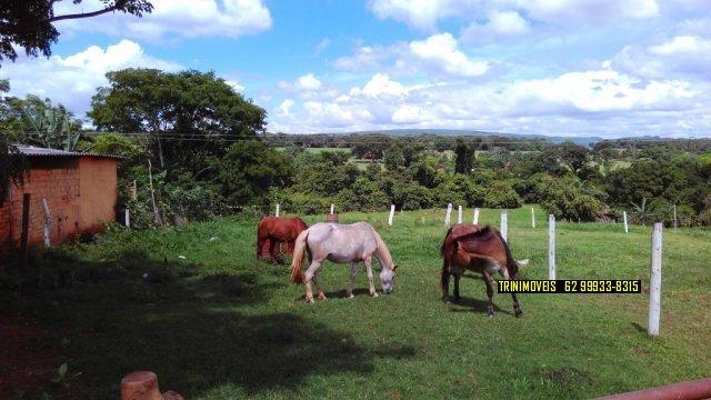 Fazenda de 13 alq. em Trindade - Foto 2