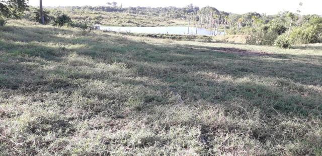 Fazenda em Roraima na BR210 - Caroebe - Foto 11