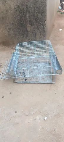 Gaiola para codorna ou pintinhos - Foto 2