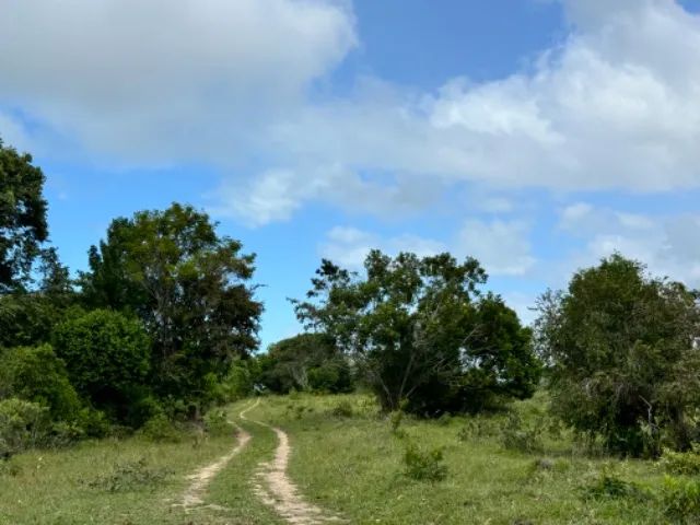 Vendo lindo sitio na praia de Cumuruxatiba ! - Foto 2