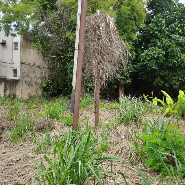 Maravista terreno comercial em ótimo local - Foto 3