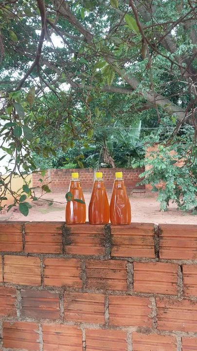 Mel de abelha puro e natural - Foto 4