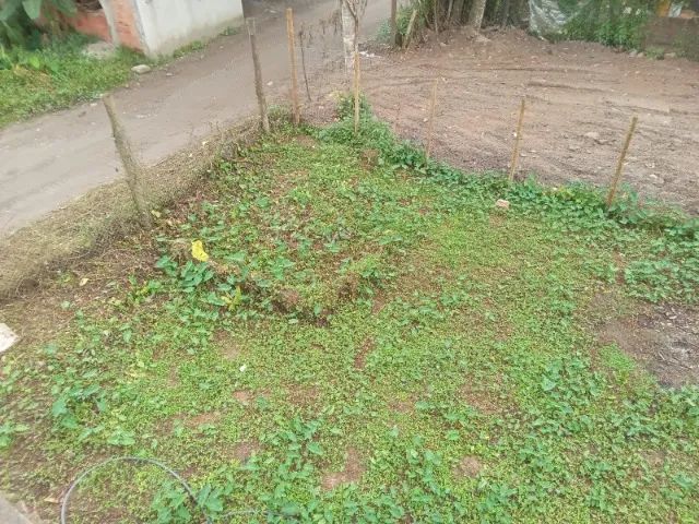 Camburi Terreno com Matrícula - Foto 3