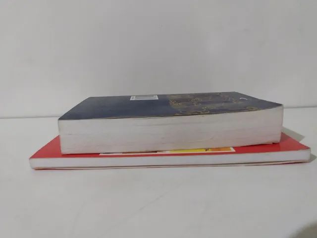 2 Livros - Deus Fala A Seus Filhos - Bíblia Sagrada-Novo Testamento Edição Pastoral  - Foto 3