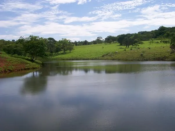 Fazenda/Sítio com 9,5 alqueires, próximo o Residencial Aldeia do Vale - Goiânia - GO.
