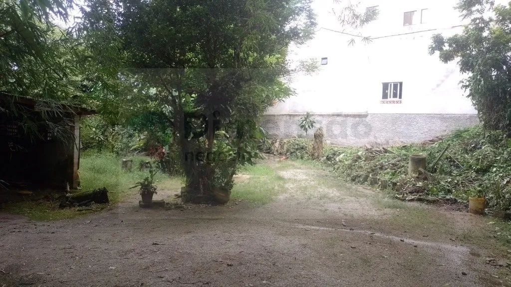 Terreno à venda em Florianópolis - Foto 8