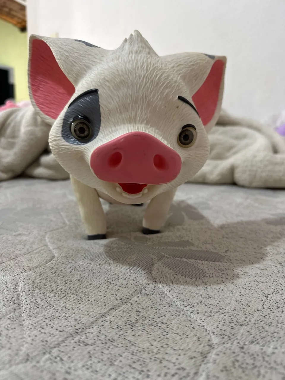 Porco Pua - Moana