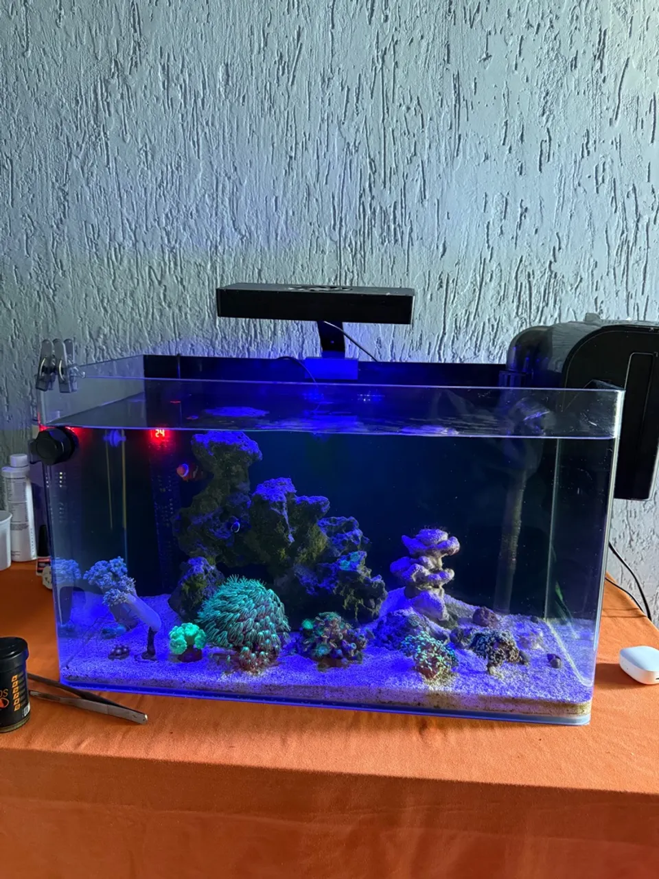 Aquario completo