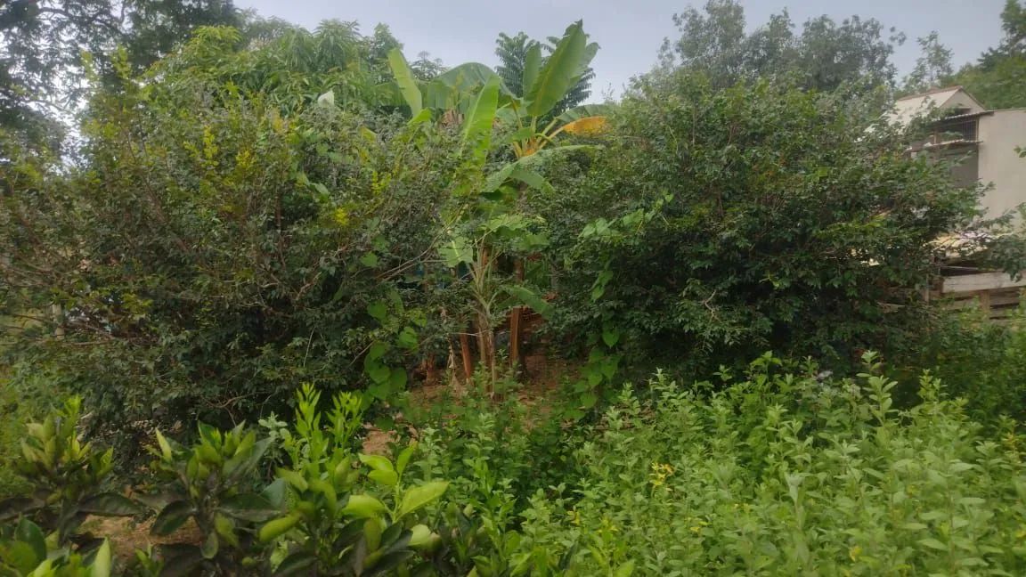 Chácara com preço de oportunidade!!! - Foto 12