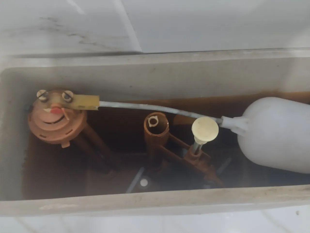 COMPLETE TOILET CISTERN64254000555649121