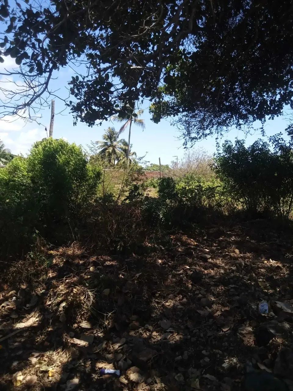 TERRENO NO MOSQUEIRO - MATAPOÃ [24173] - Foto 4