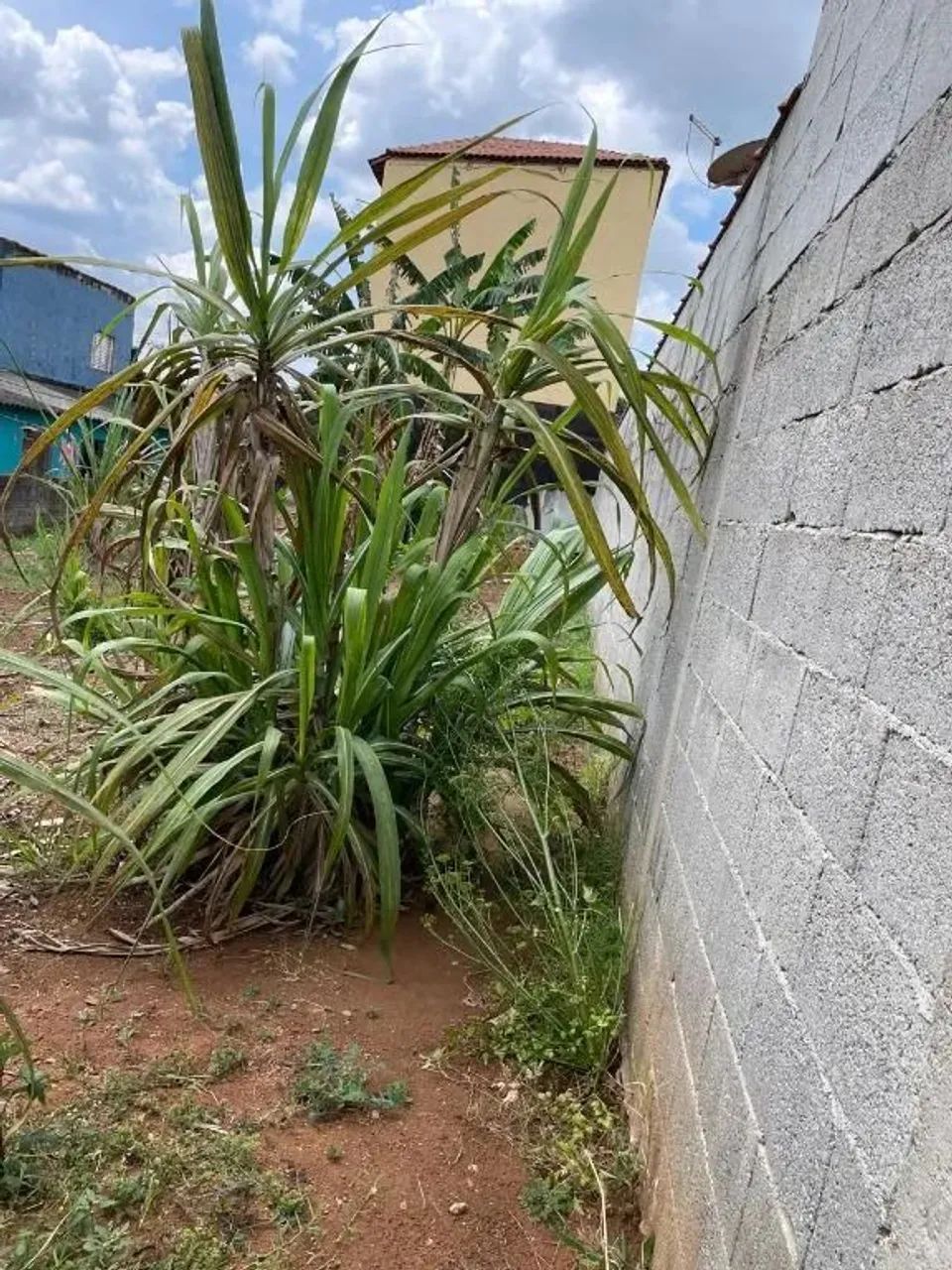 Terreno à venda, 250 m² por R$ 130.000,00 - Jardim Alto da Boa Vista - Suzano/SP - Foto 4