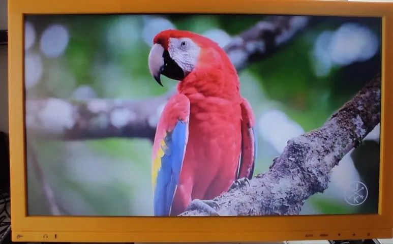 Monitor Led Cce De 15,6 Polegadas Gm-1501 - Semi novo - Promoção
