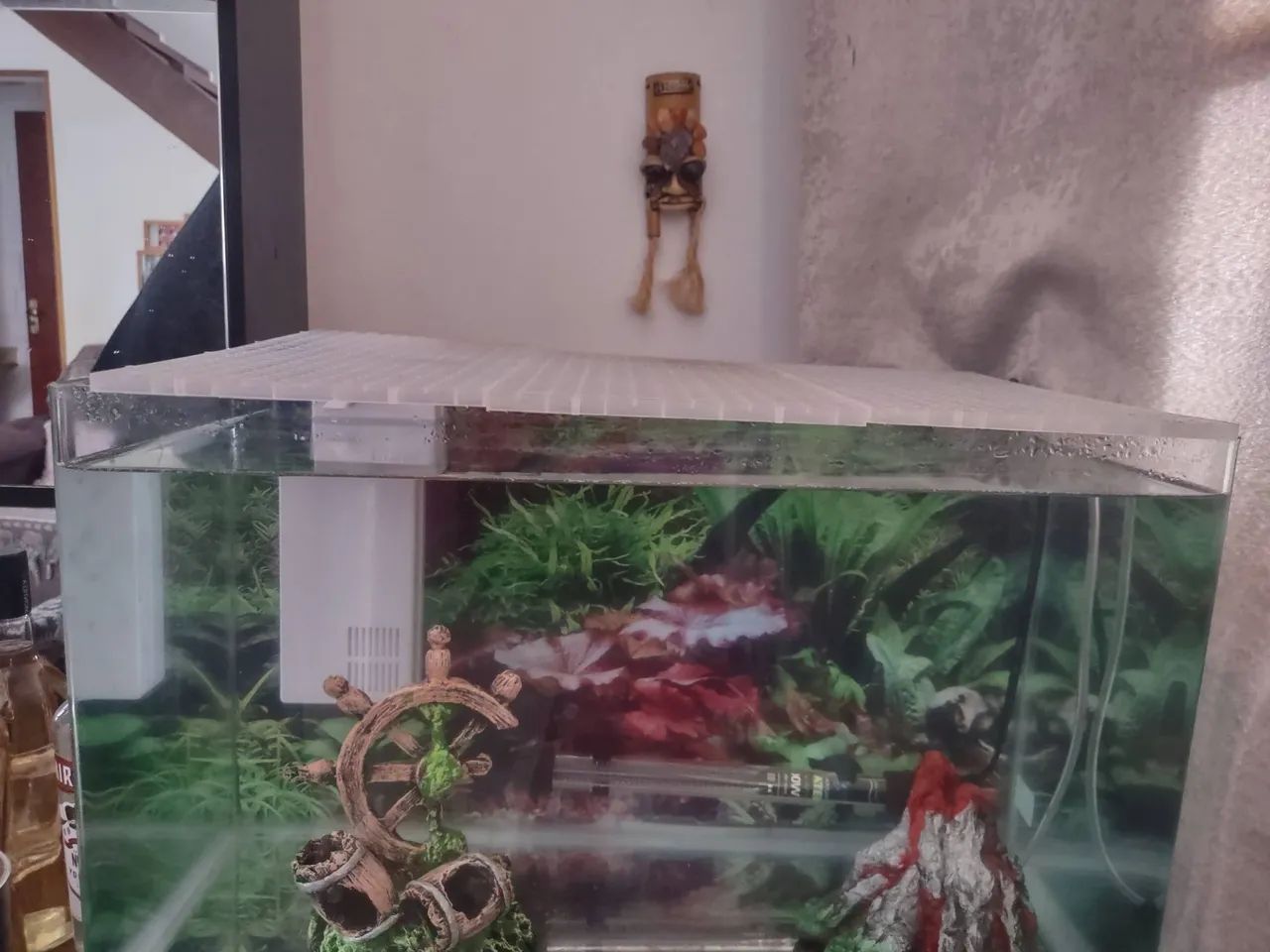 OPORTUNIDADE E ACEITO OFERTAS! Aquário 250 litros Sump Filtro Externo Base + 2 aquários - Foto 6