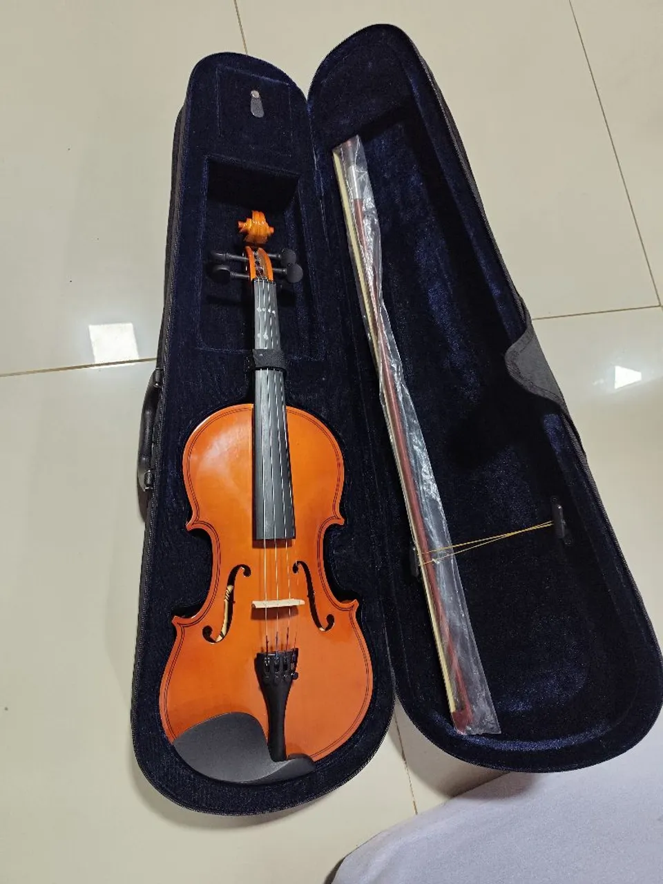 Violino com Estojo