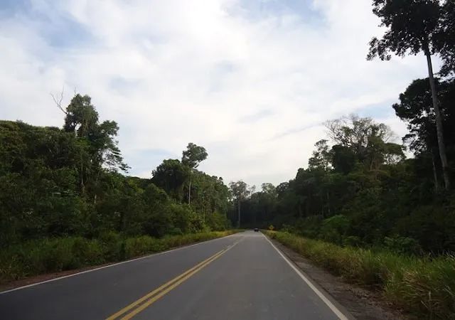 Sítio 900 x 2.500 no Rio Preto da Eva  600.000 - Foto 3