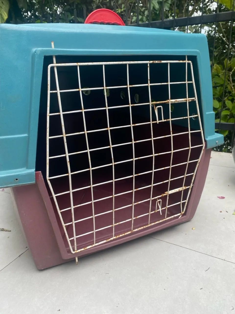 Caixa Transporte Cachorro Grande com rodinhas - Foto 4