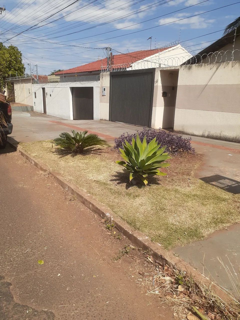 Jardineiro poda de avrer e Roçada de grama  watzp * - Foto 4