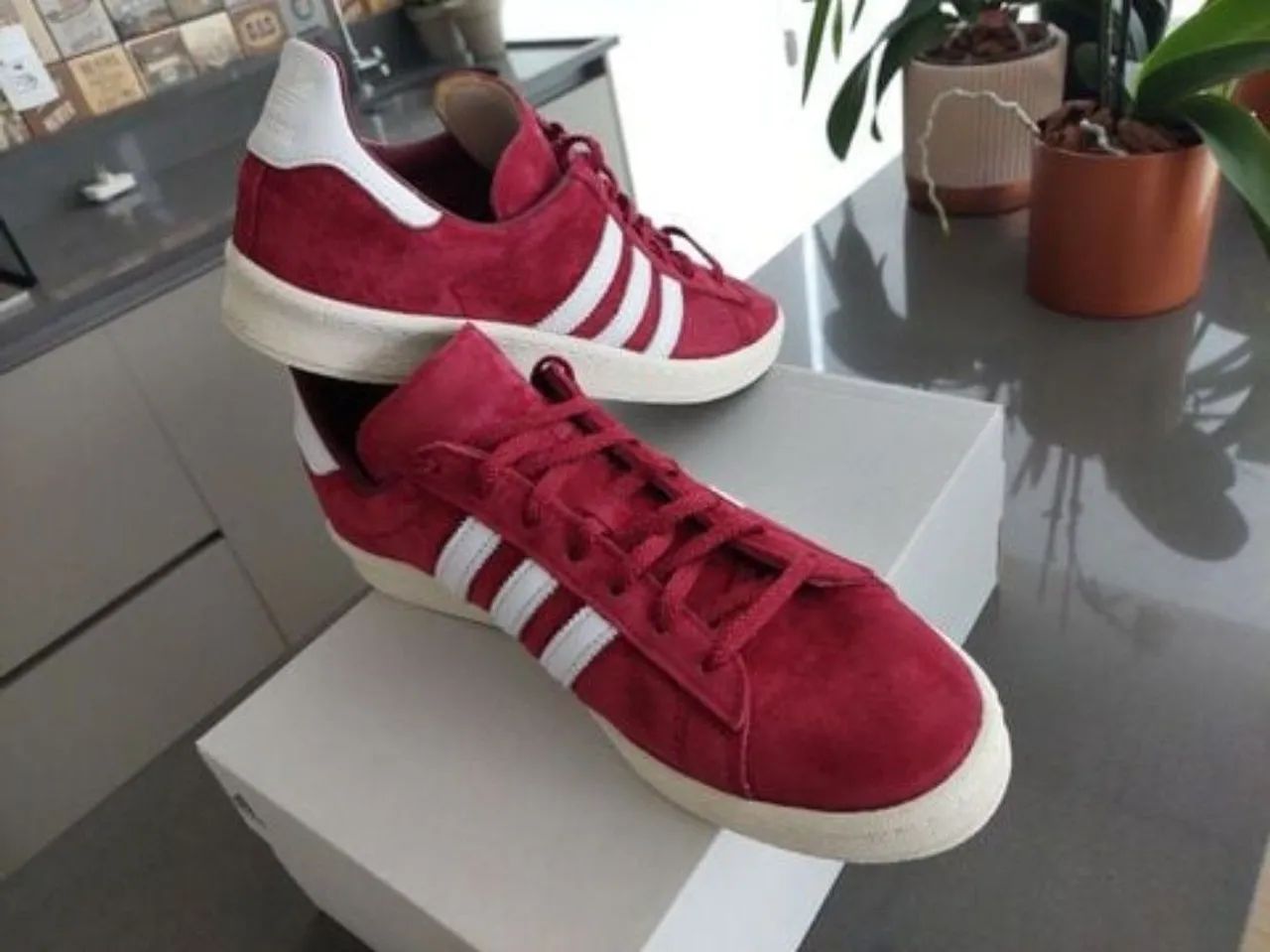 adidas campus 80s - vermelho 