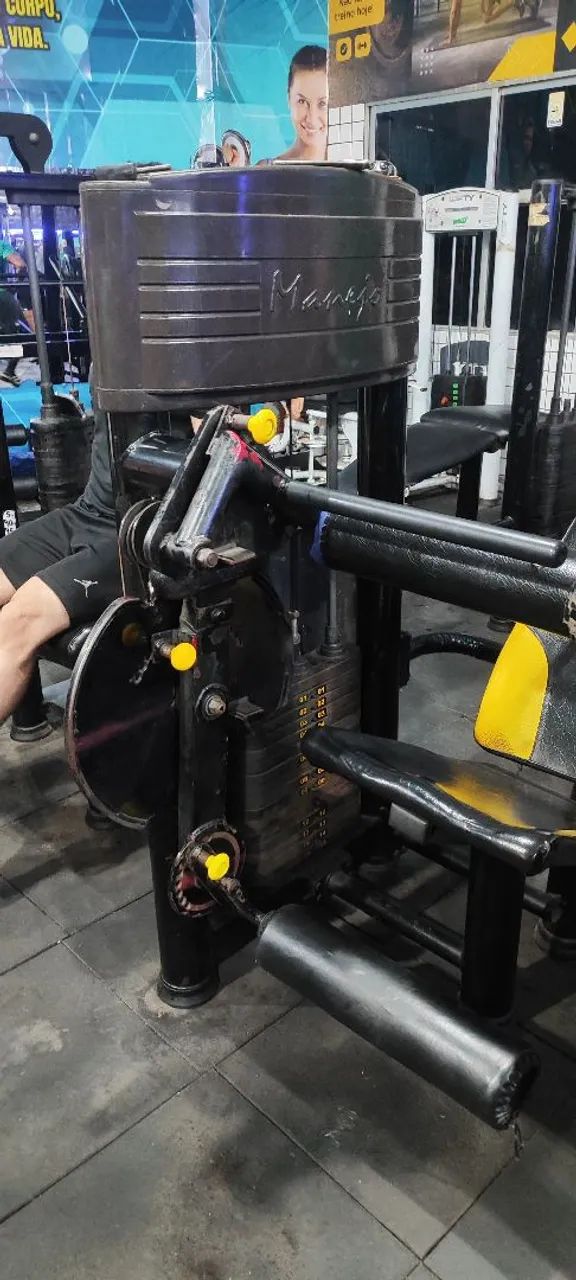 Extensora/Flexora 64293896669569123