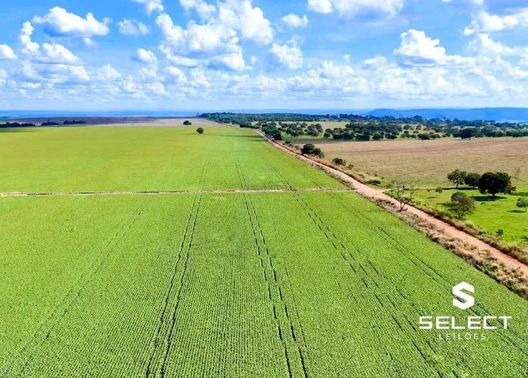 Leilão Judicial - Até 40% de desconto - Fazenda com 335 hectares a 90Km de Campo Grande
