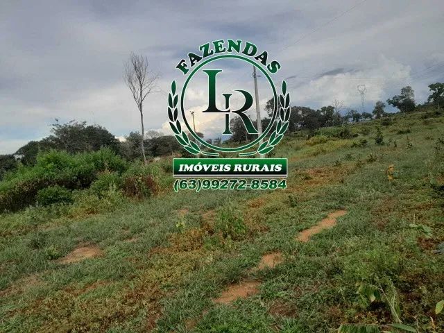 Fazenda 168 Alqueires Dupla Aptidão - Foto 5