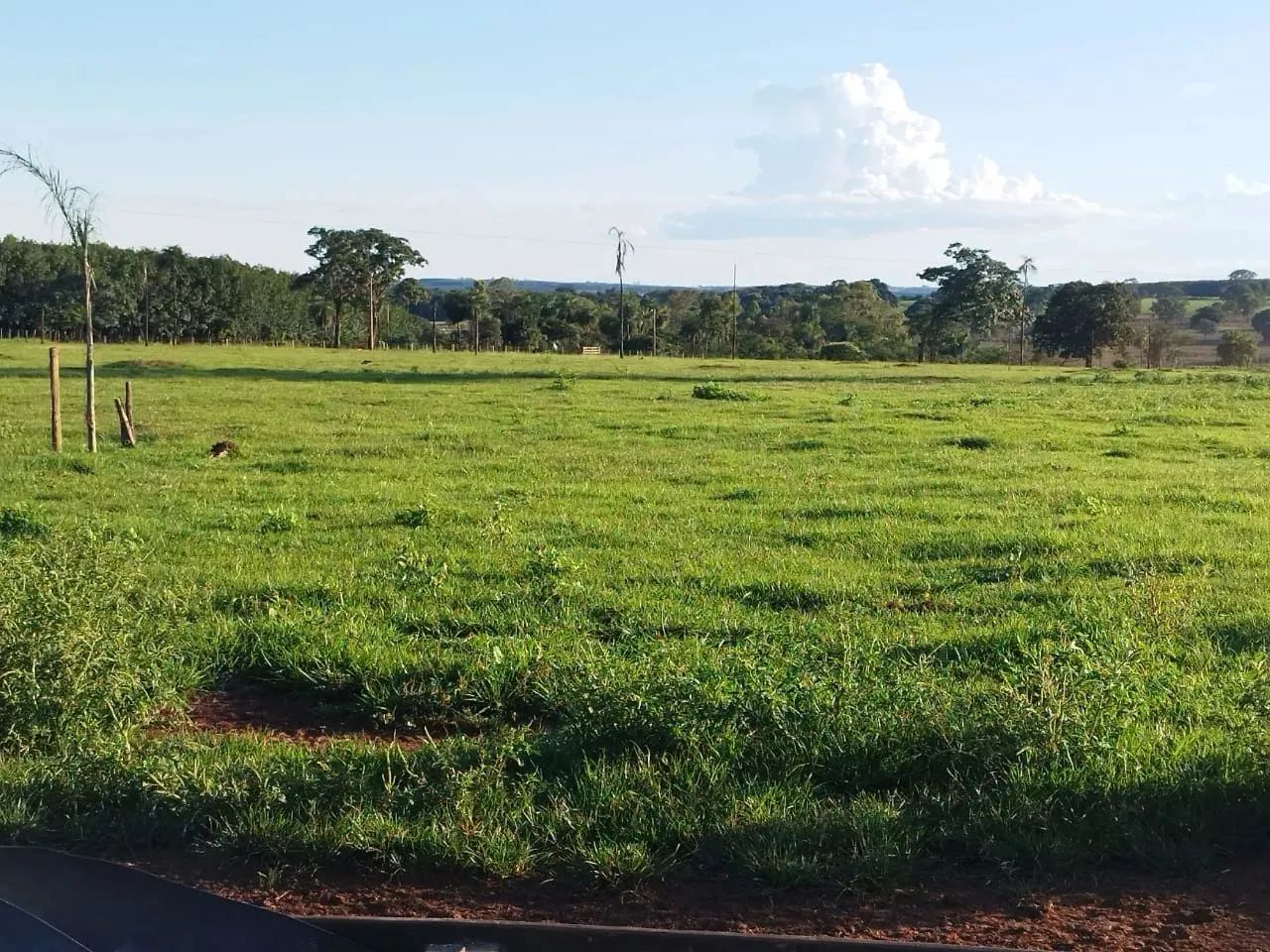 Imóvel para venda possui 163592 metros quadrados em Zona Rural - Américo de Campos - SP - Foto 4