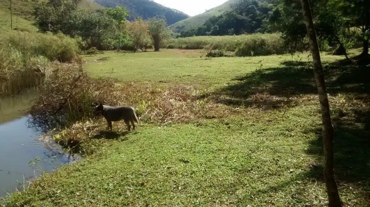 Chácara 2.100m2 lugar lindo  - Foto 3