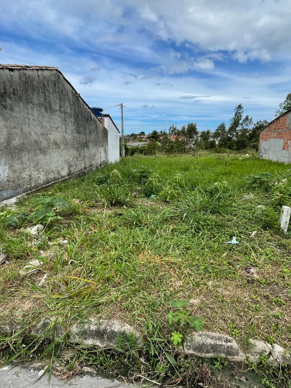 Foto - Umbaúba - 