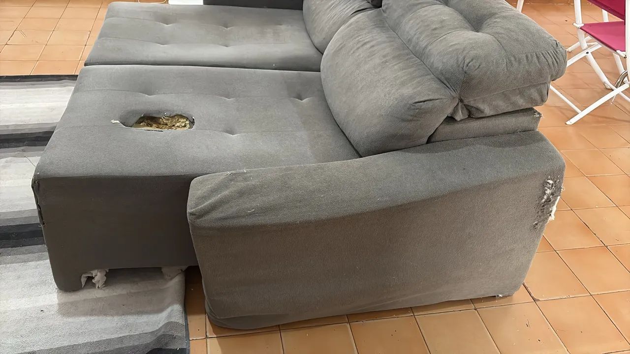 Doação  - Foto 3