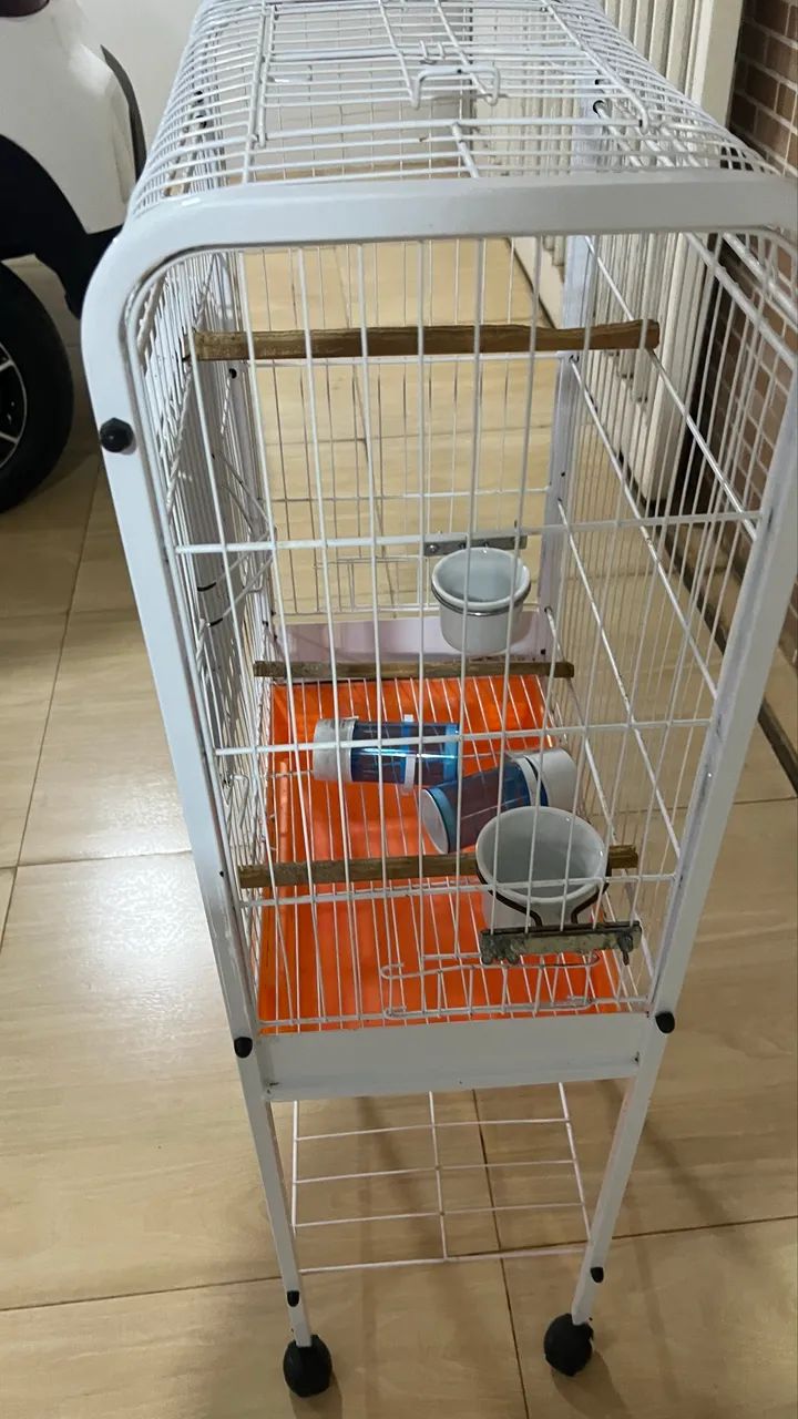 Gaiola para calopsita  - Foto 4
