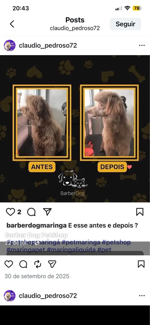 Barber dog - Foto 2