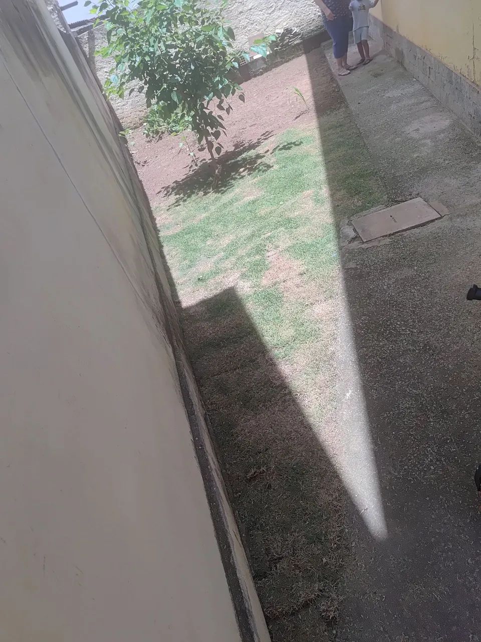 Jardineiro  - Foto 2