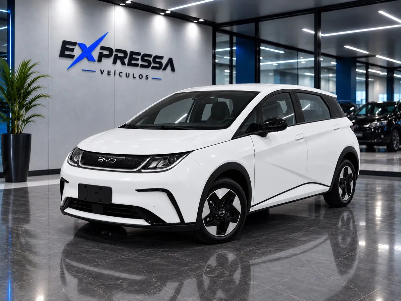 BYD Dolphin GS (Elétrico) 2027