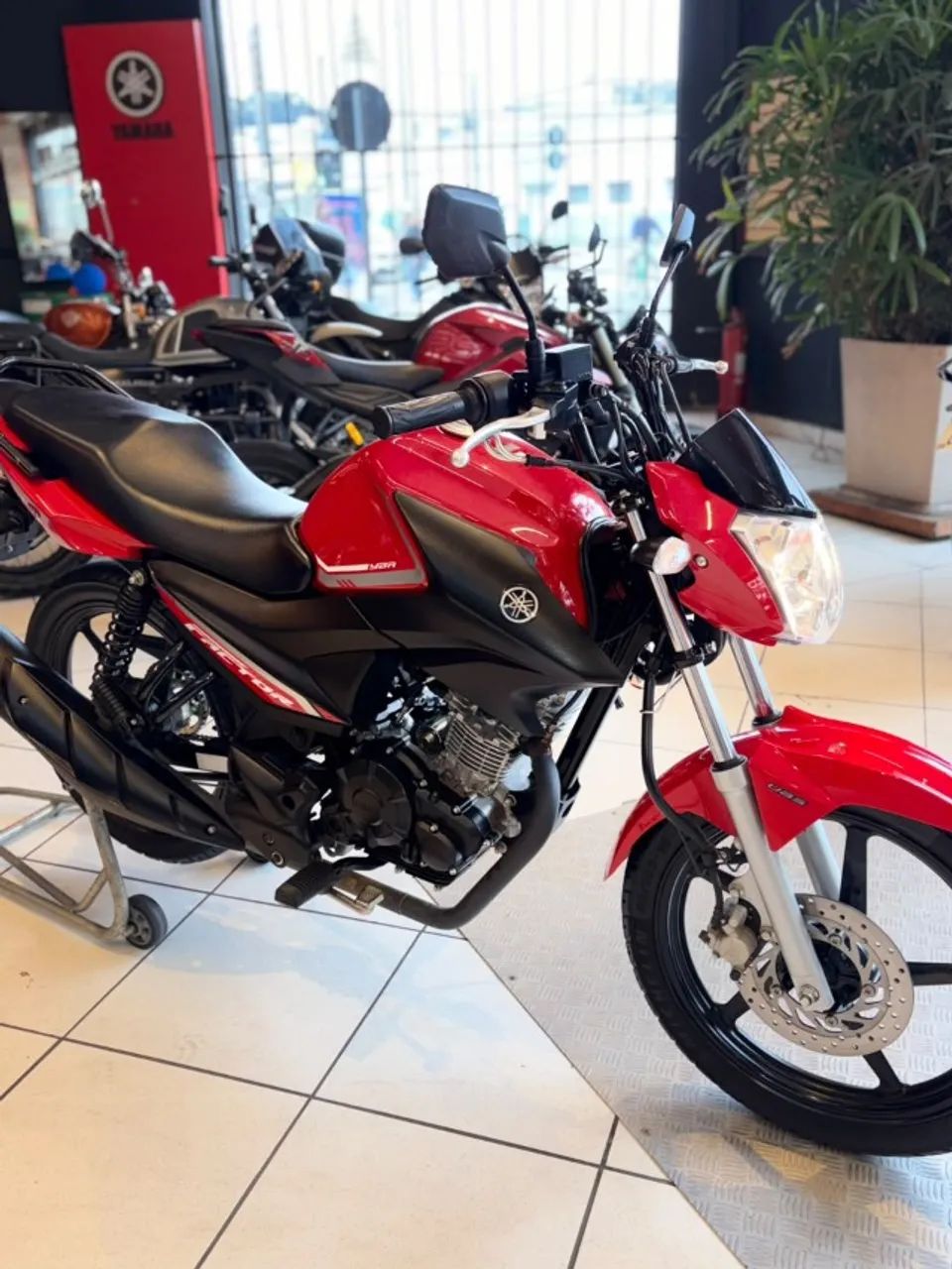 YAMAHA YBR FACTOR  - Foto 3