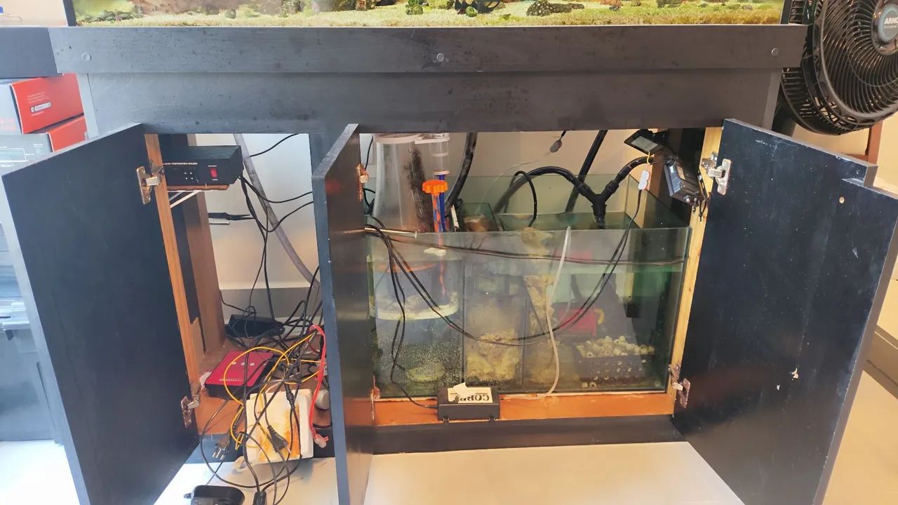 Aquário marinho  - Foto 5