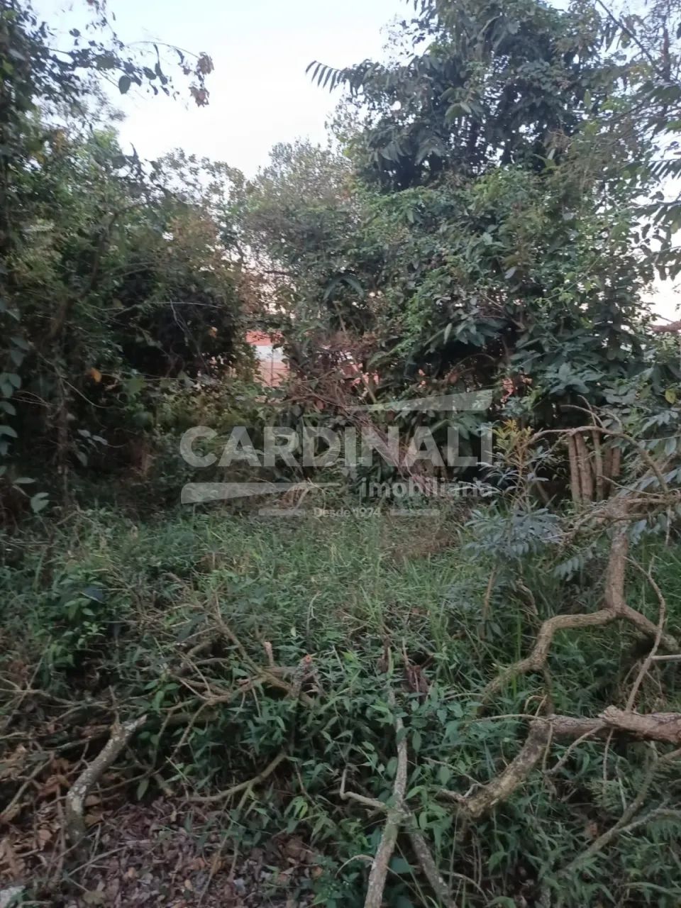 Terreno Padrão em Brotas