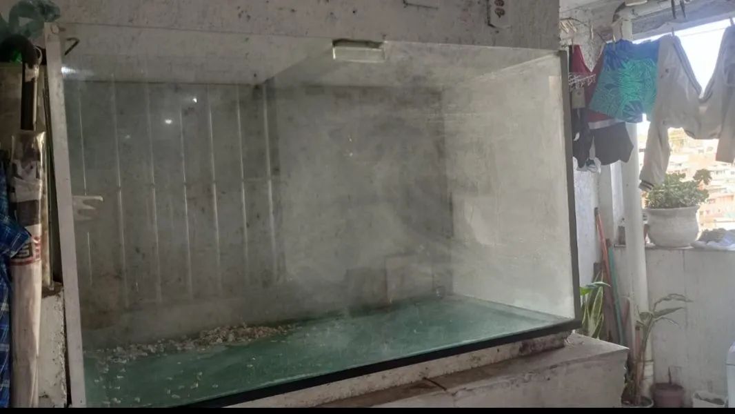 Aquario Retangular 