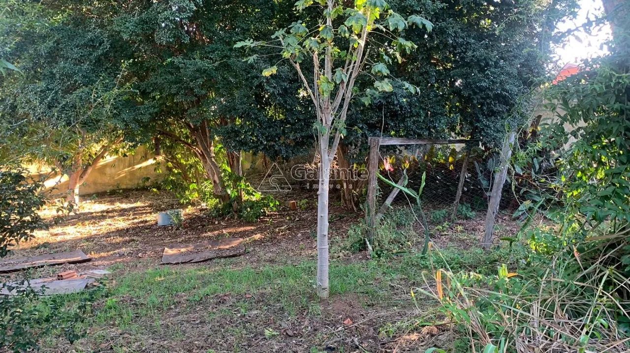 terreno - Chácara Primavera - Campinas - Foto 4