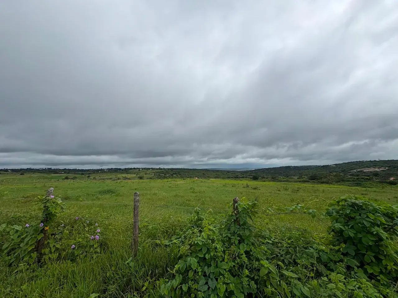 Area de 30 hectares para venda - Foto 3