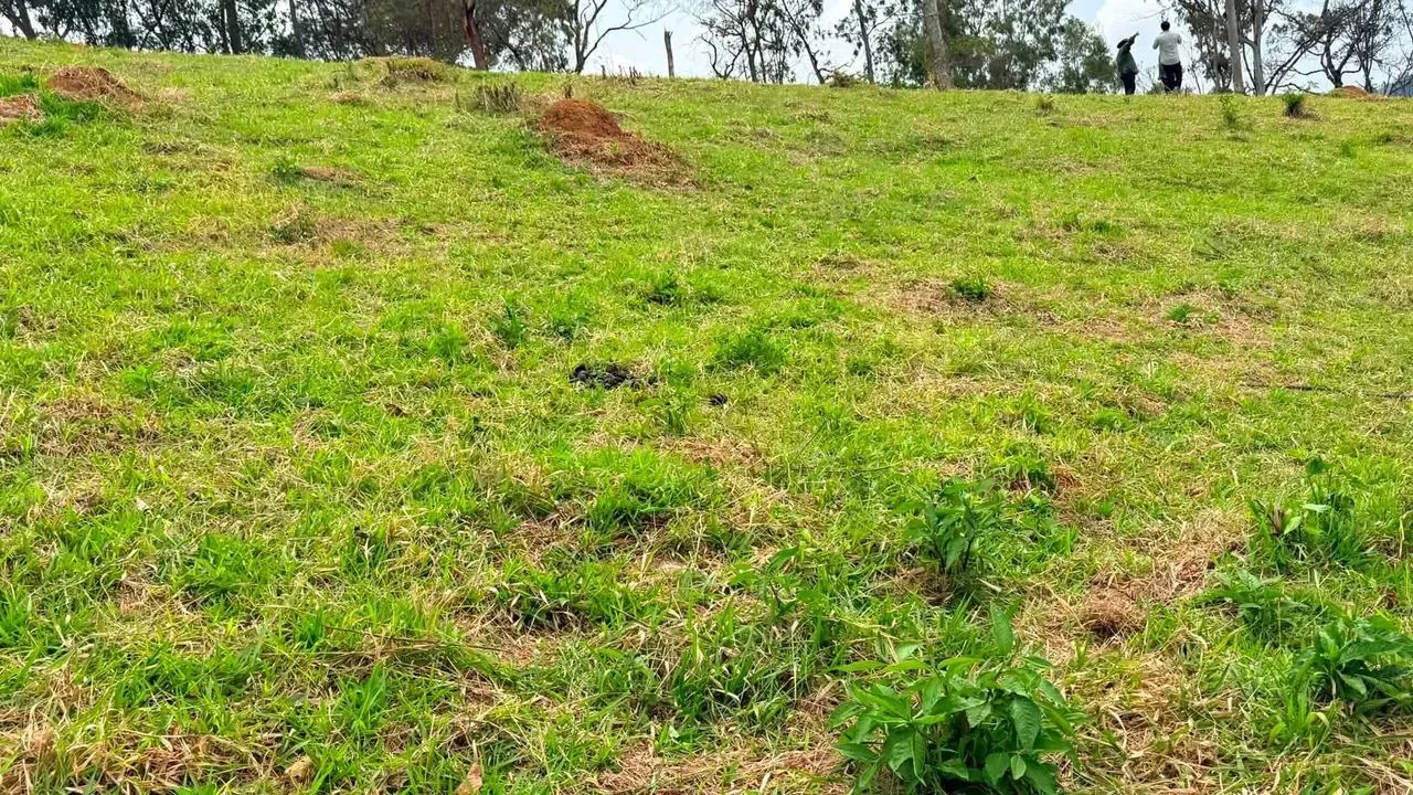 Vista da Serra- Cambuí - Foto 4