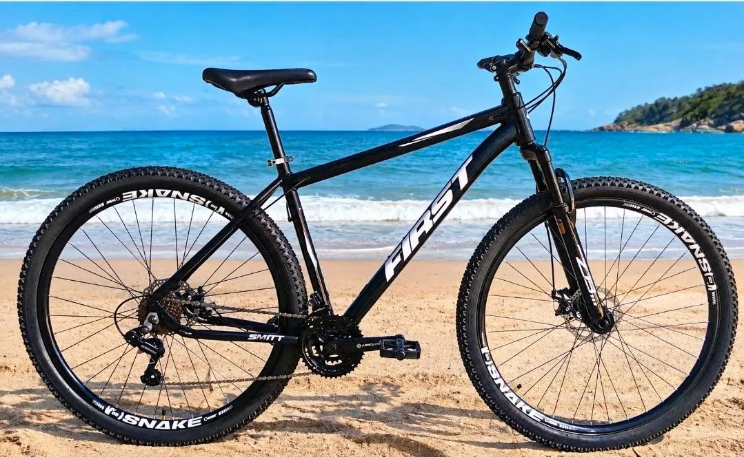 BIKE  FIRST  ARO  29