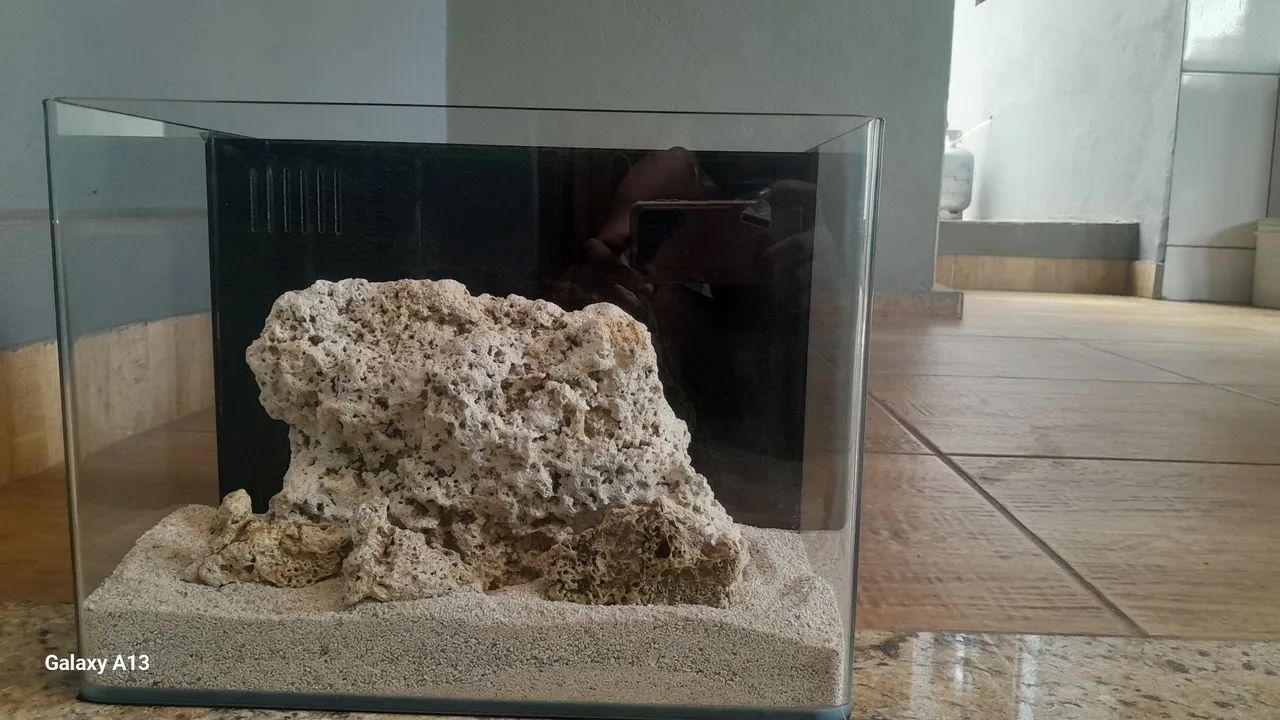 Aquario  - Foto 2