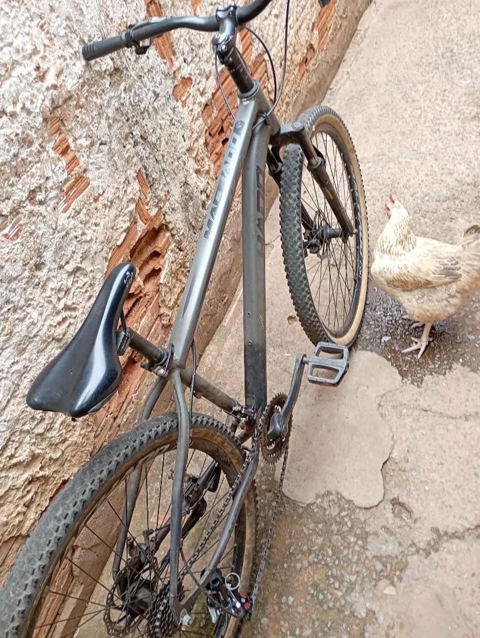 Bicicleta 