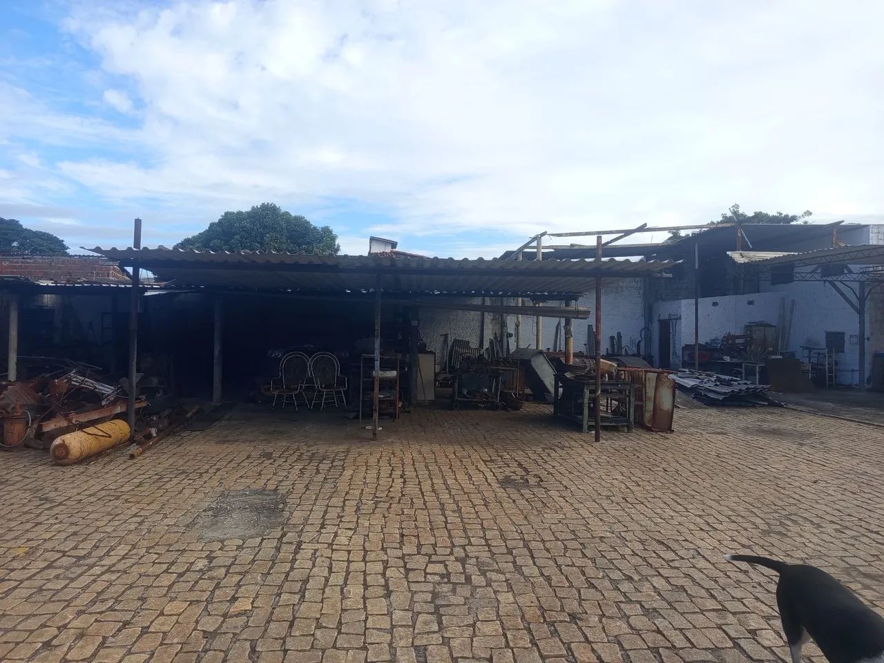 Galpão industrial  - Foto 3